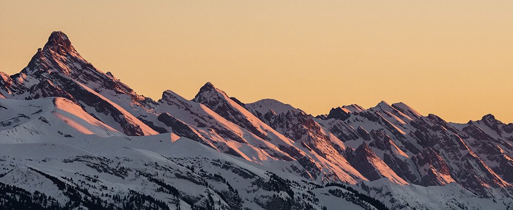 I rossi di montagna