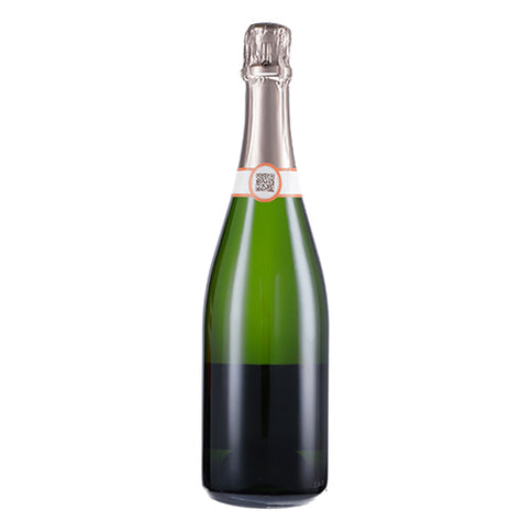 Champagne Extra Brut Blanc de Blancs "Table Ronde" - Lancelot-Pienne
