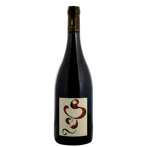 Saumur-Champigny "Les Dares" 2019 - Domaine Des Sanzay