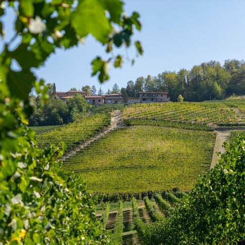 Selezione Giacomo Fenocchio