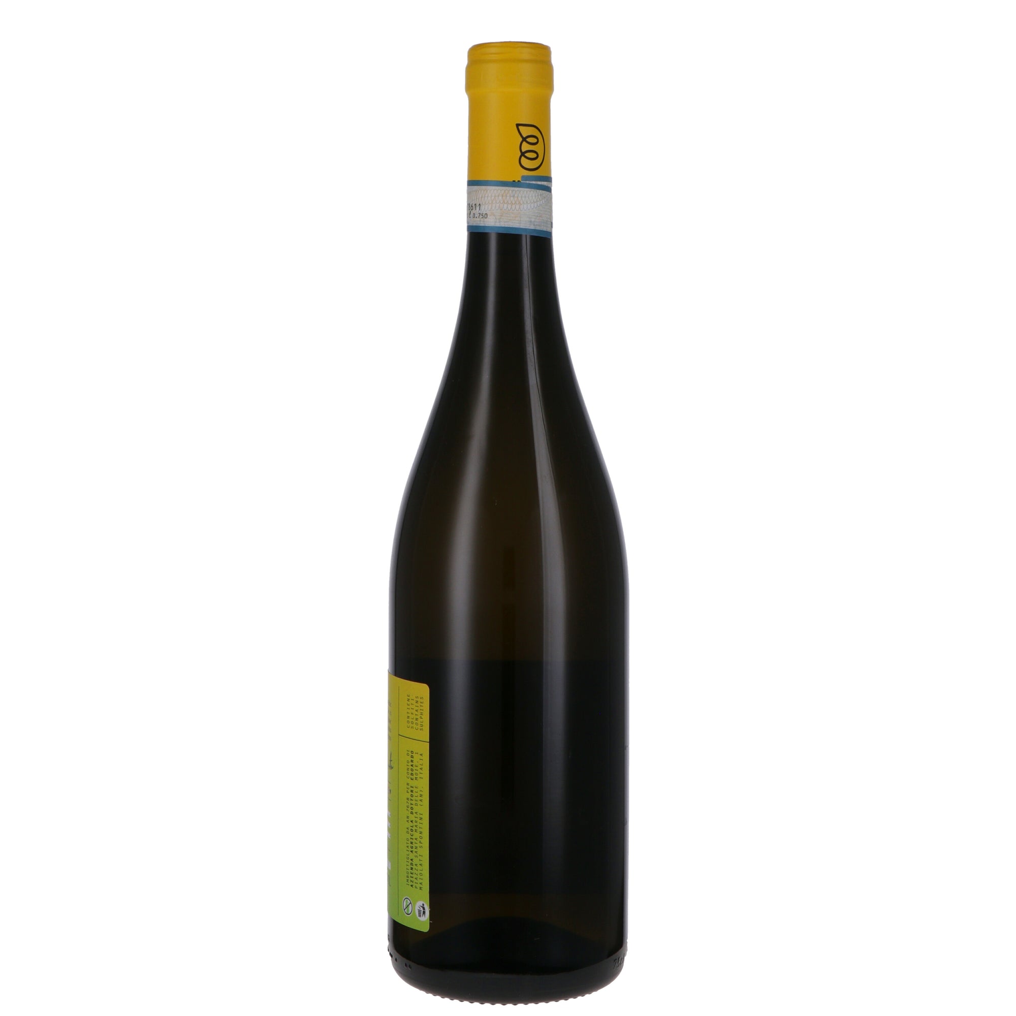 Verdicchio dei Castelli di Jesi DOC "Colle Bianco" 2024 - Azienda Agricola Edoardo Dottori