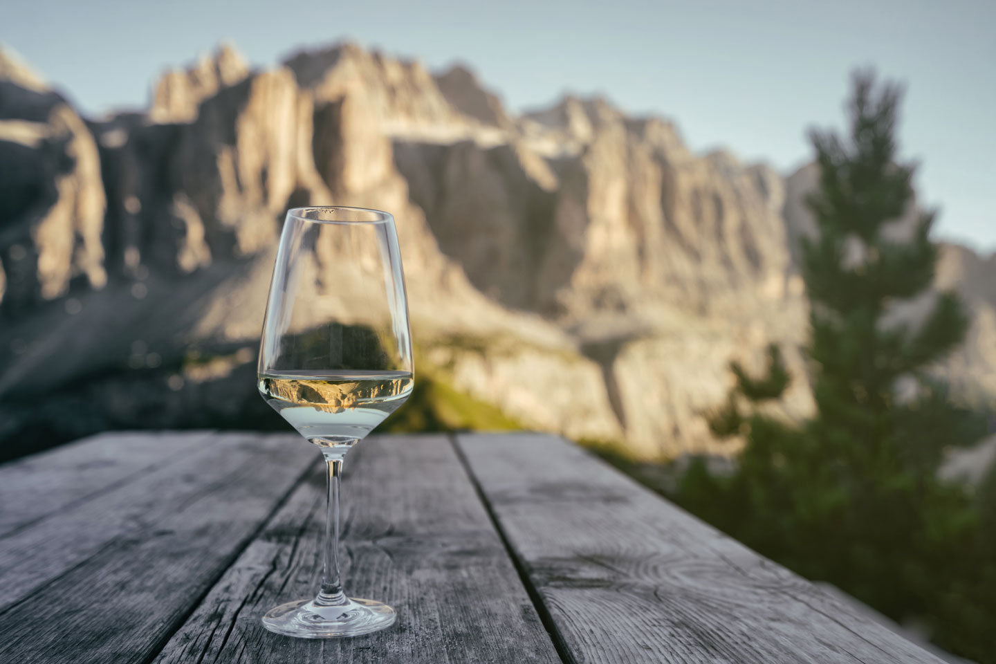 White Wines of Italy