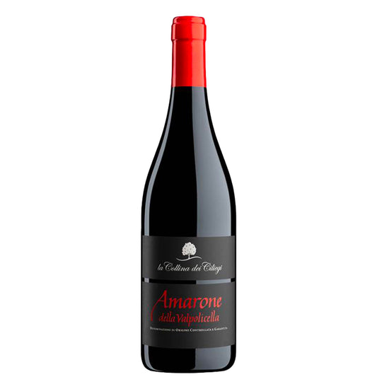 Amarone della Valpolicella DOCG 2019 - La Collina dei Ciliegi