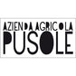 Cannonau di Sardegna DOC “Sa Scala” 2019 - Pusole