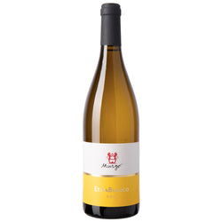 Etna Bianco DOC 2025 - Murgo