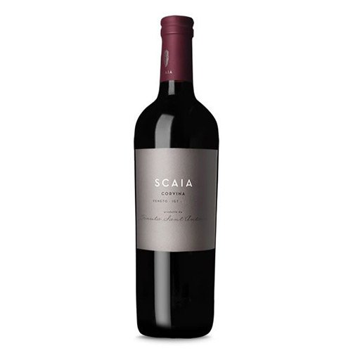 Veneto Corvina IGT 2023 - Scaia