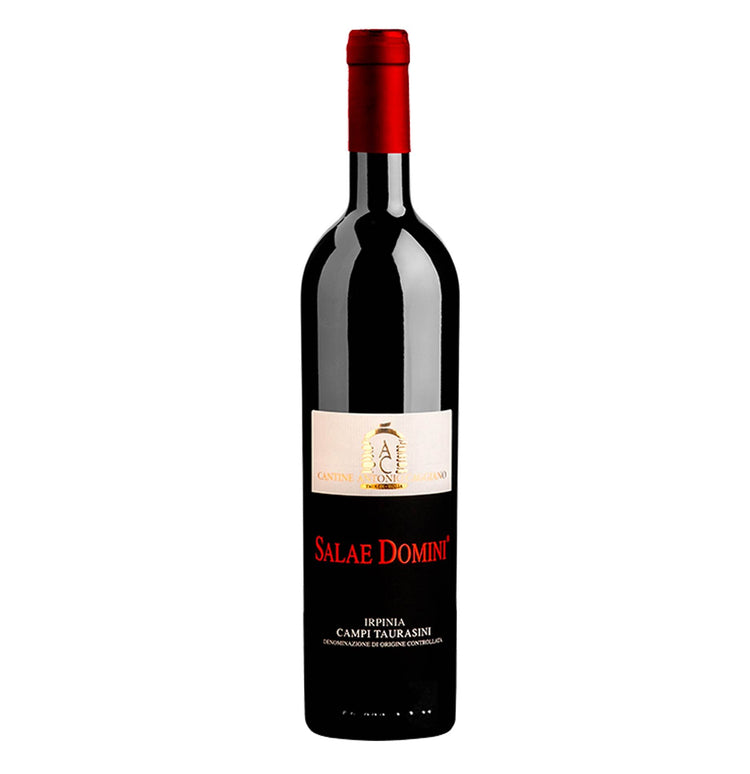 Irpinia Campi Taurasini DOC "Salae Domini" 2021 - Antonio Caggiano