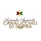 Rosso di Montalcino DOC 2024 - Canalicchio di Sopra