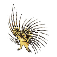 Civitella d’Agliano Grechetto IGT “Poggio della Costa” 2023 - Sergio Mottura (tappo a vite)