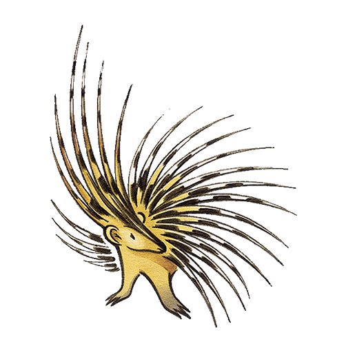 Civitella d’Agliano Grechetto "Latour a Civitella" 2023 - Sergio Mottura