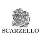 Barbera d'Alba Superiore DOC 2021 - Scarzello