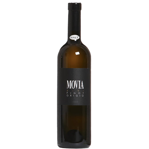 Pinot Grigio 2022 - Movia