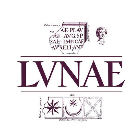 Colli di Luni Vermentino DOC "Cavagino" 2023 - Lunae