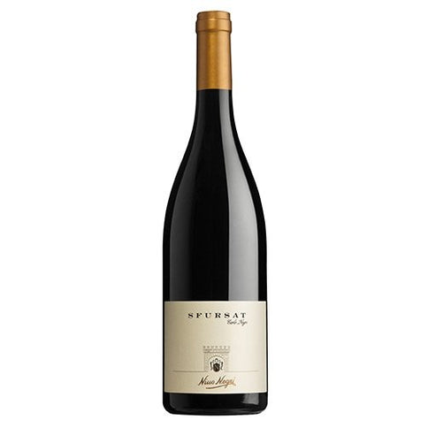 Sfursat di Valtellina DOCG "Carlo Negri" 2019 - Nino Negri