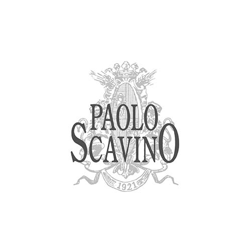 Barolo DOCG 2021 - Paolo Scavino