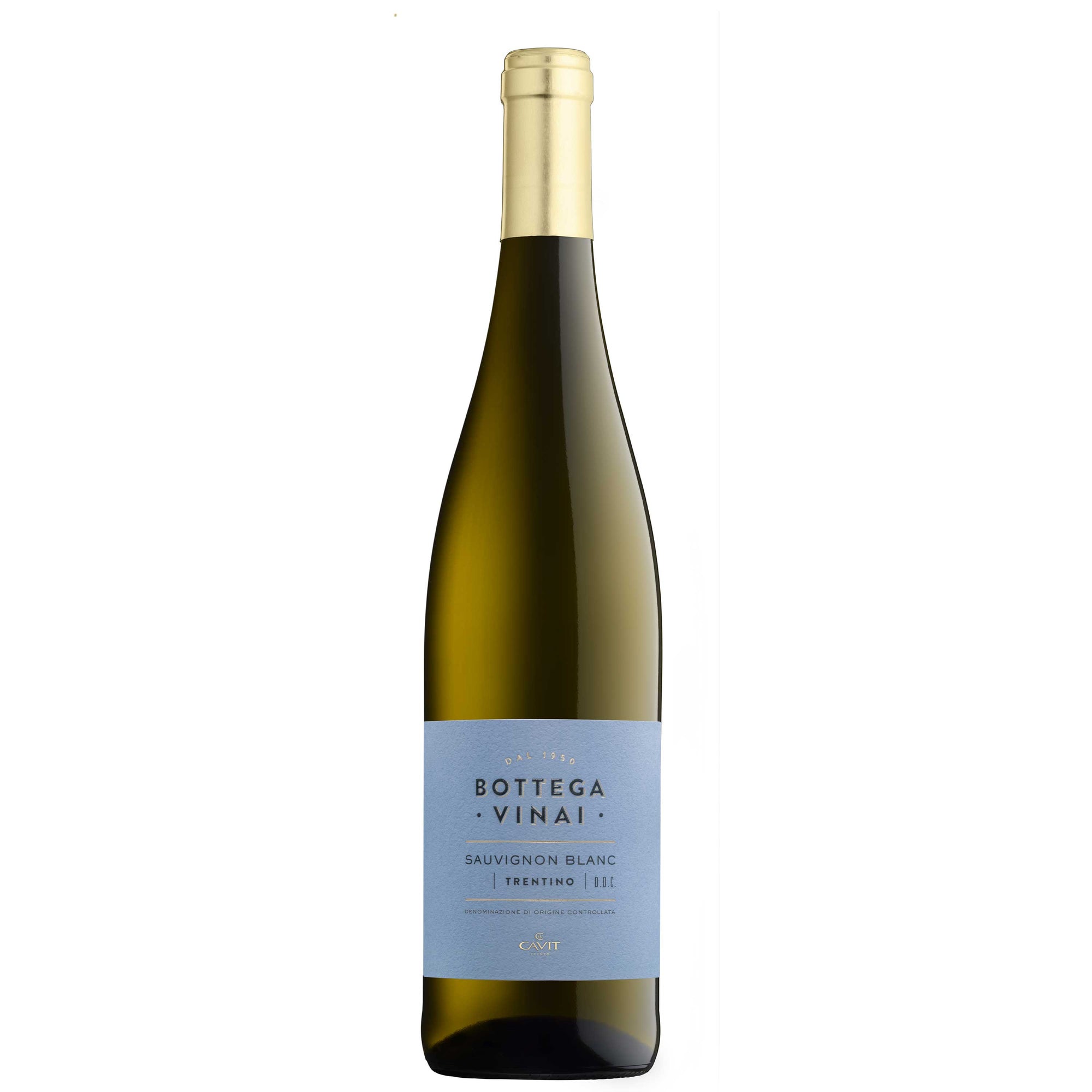 Trentino Sauvignon DOC 2025 - Bottega Vinai