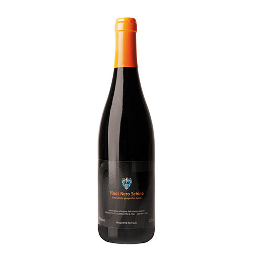 Sebino Pinot Nero IGT 2022 - Ricci Curbastro