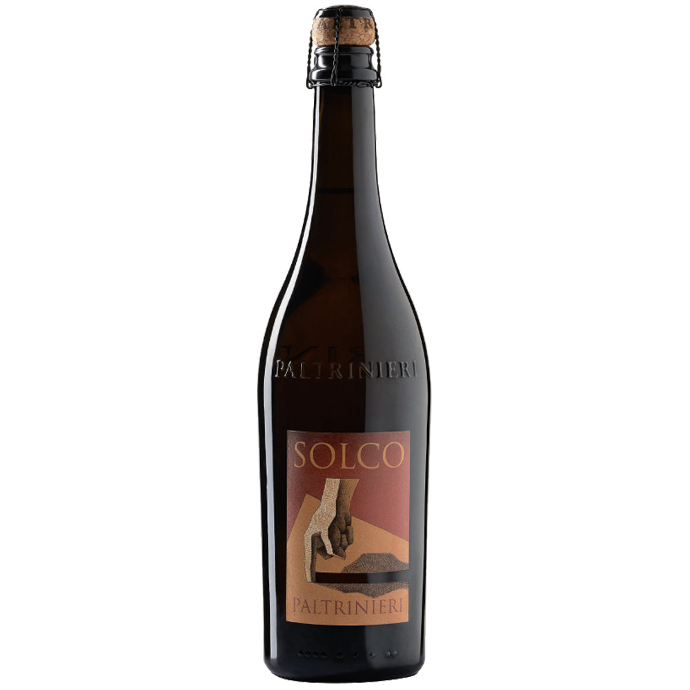 Lambrusco dell'Emilia IGT "Solco" 2025 - Paltrinieri
