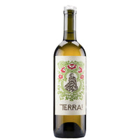 Sillaro IGT “Terra!” 2024 - Villa Papiano