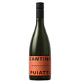 Traminer Friuli DOC 2025 - Puiatti