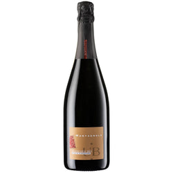 Valdobbiadene Prosecco Extra Brut Rive di Santo Stefano “Vigna Montagnole” DOCG 2023 - Bortolotti